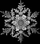 Schnee