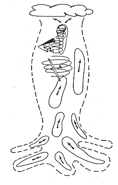 Thermik-Nutzung