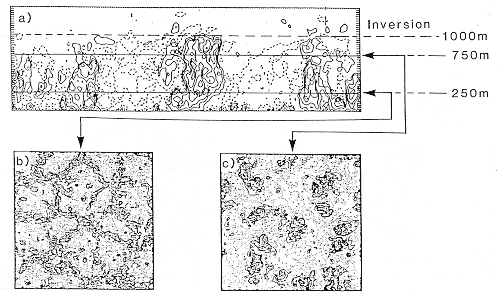 Thermiksimulation